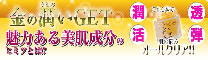 �G�{�����[�S�[���h�����