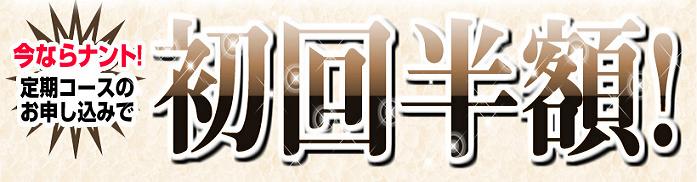 �G�{�����[�S�[���h�����