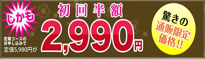 �G�{�����[�S�[���h�����
